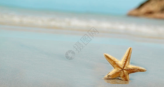 海星在海滩上海岸海星蓝色季节日落海浪热带旅行生活天堂图片