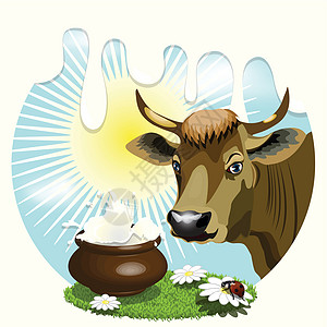 奶牛空地乳房天空产品草本植物村庄奶油农场插图动物图片