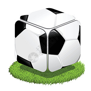 足球白色运动锦标赛场地草本植物皮革插图圆形背景图片