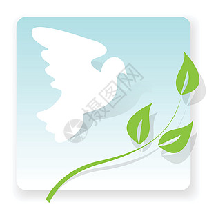 和平发展白鸽插图翅膀天空世界床单白色使者绿色鸽子航班插画
