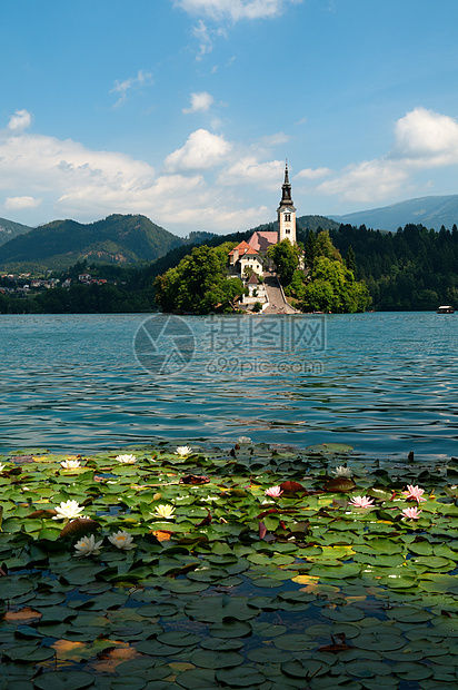 斯洛文尼亚的Lake Bled风光山脉村庄天空旅行风景阴影田园旅游树木图片