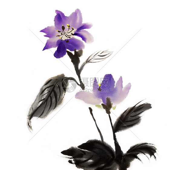 中华传统绘画植物群衬套刷子手工文化植物书法墨水黑色艺术品图片