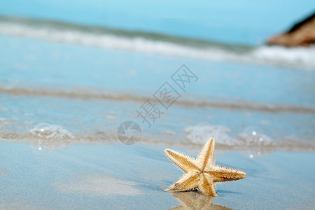 海星在海滩上日落海岸天空晴天蓝色星星海星闲暇热带天堂图片