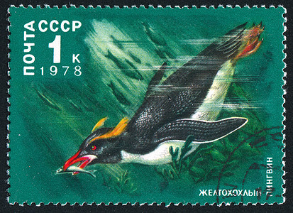 企鹅打猎邮票历史性脖子眼睛海豹藻类脚蹼邮件羽毛图片