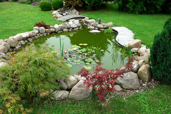 美丽的古典菜园设计的花园鱼池塘园艺背景院子喷泉睡莲奢华生长岩石瀑布植物百合锦鲤图片