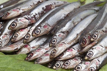 生菜叶上的凤尾鱼营养动物野生动物蓝色烹饪海洋市场钓鱼杂货店食物图片