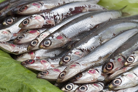 生菜叶上的凤尾鱼烹饪野生动物投标饮食蓝色市场海洋营养动物盘子图片
