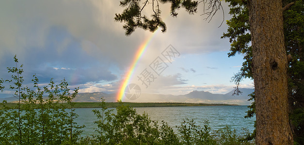 加拿大育空T区拉贝格湖上空的彩虹风暴阳光地区天空金子旅行波浪淋浴日光自由图片