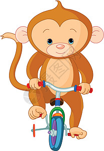 骑自行车的猴子马戏团运动快乐尾巴黑猩猩动物园训练表演玩具哺乳动物图片