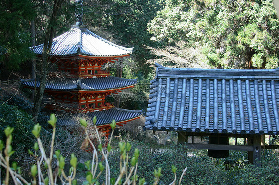 日本寺庙历史文化绿色宝塔建筑传统图片