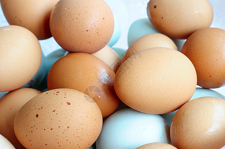 蛋棕色蛋壳包装宏观团体母鸡美食贝壳白色盒子图片