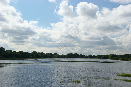 洪水泛滥的河流洪泛地区树木白色棕色灌木漫滩芦苇绿色蓝色草地黑色图片