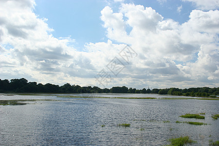 洪水泛滥的河流洪泛地区棕色漫滩黄色蓝色天空绿色白色树木荒野芦苇图片