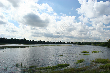 洪水泛滥的河流洪泛地区黑色灌木白色草地漫滩树木蓝色黄色荒野芦苇图片