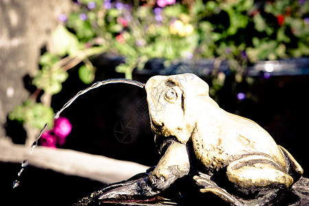 青蛙喷泉公园复制品荒野喷射雕像居住模仿阴影塑像饰品图片