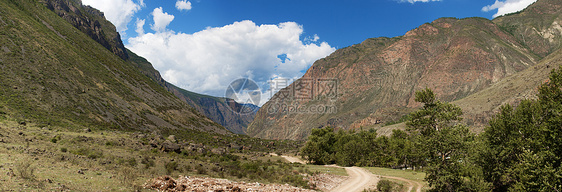 阿尔泰山脉 夏季风景 俄罗斯环境岩石全景爬坡地形天空空气森林顶峰木头图片