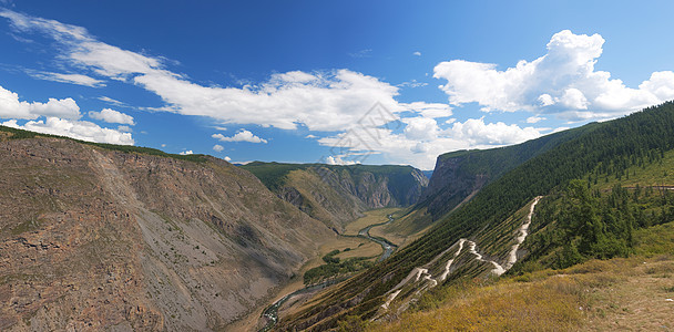 阿尔泰山脉 夏季风景 俄罗斯荒野高山木头爬坡顶峰旅游环境蓝色峡谷场景图片