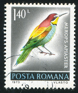 贴上标签的鸟野生动物羽毛邮戳明信片荒野邮票信封邮件翅膀历史性背景图片