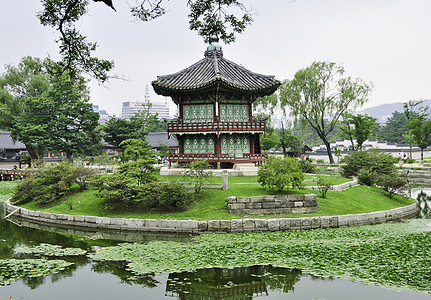 在汉城的花园里城市植物蓝色国家旅游房子古董建筑学水池文化图片