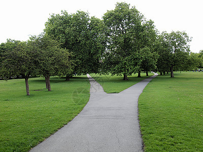 伦敦摄政公园摄政王英语绿色植被树木王国草地全景公园天际图片