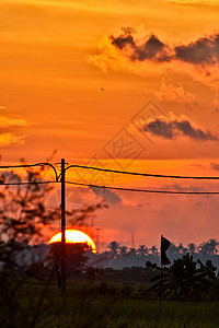马来西亚农村日落地平线天空场景阳光国家土地太阳热带橙子天气图片