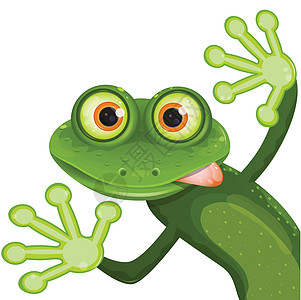 青蛙水陆兴趣食欲语言好奇心敬畏插图眼睛动物爪子图片