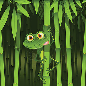 青蛙水陆动物绿色语言木头动物群插图植物爪子床单图片