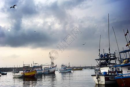 斯里兰卡的港口图片