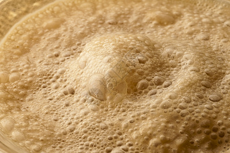 酵酵母药品维生素微生物面团发酵生物面包模式酒精图片