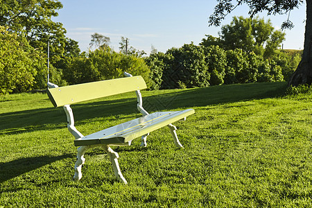 在一个公园里坐着民众孤独天空蓝色叶子场景椅子休息家具长椅图片