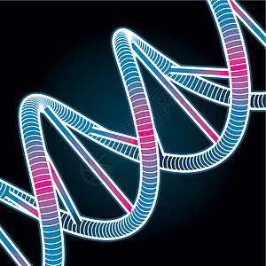 设置的DNA符号符号分子黑色保健医学螺旋医疗微生物学绘画染色体蓝色图片