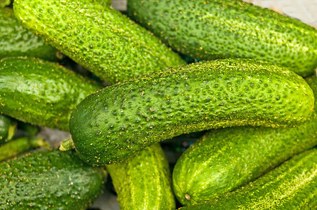 黄瓜蔬菜烹饪沙拉绿色厨房图片