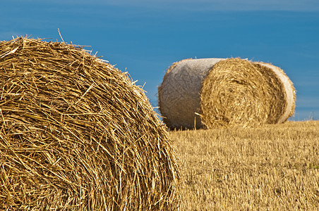 谷物收获天空牧歌场地工作乡村茬地绿色蓝色农业国家图片