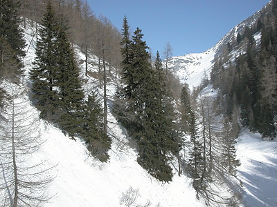 伯尔尼纳山脉全景冰川发动机场景滑雪运动图片