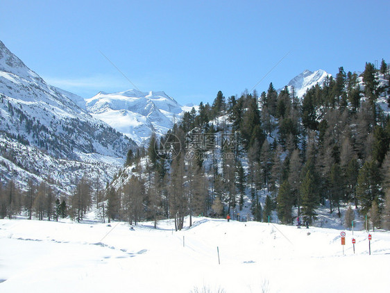 伯尔尼纳场景发动机全景山脉运动滑雪冰川图片