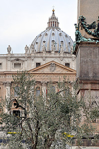 罗马圣彼得罗雕像雕塑宗教信仰教皇主场建筑学大教堂教会地标图片