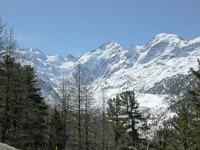 伯尔尼纳山脉运动滑雪场景全景发动机冰川图片