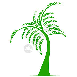 艺术树季节白色植物绿色插图叶子生长树干装饰风格图片