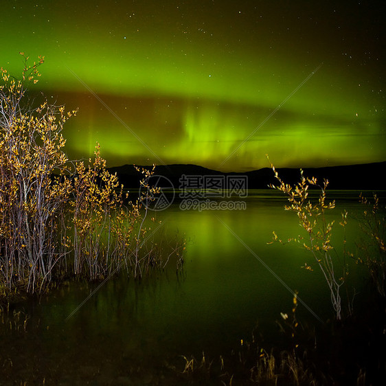 湖面照耀着北光育空柳树北极光北极星地区天空电离情调夜空太阳风图片