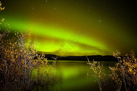 湖面照耀着北光粒子柳树宇宙极光亚暴天空星星太阳风北极光展示图片