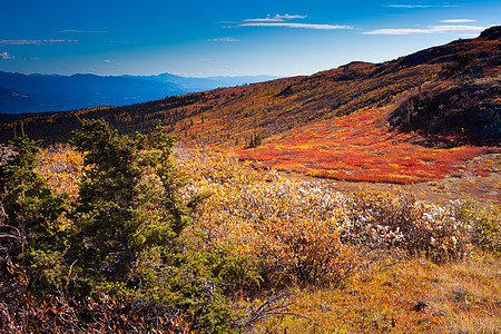 阿尔卑斯苔原生长寂寞山脉自由高山冒险假期蓝色地区领土图片