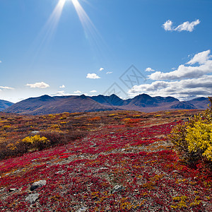 秋天的阿尔卑斯山地貌蓝色荒野山脉寂寞领土地区自由假期旅行金子图片