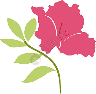 azalea 阿扎利亚绘画插图图片