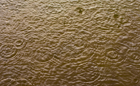 降雨水坑雨滴天气涟漪下雨池塘圆圈波纹反射飞溅图片
