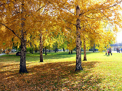 Chelyabinsk公园秋天图片