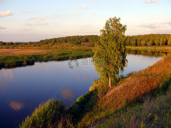 乌维尔卡河切利亚宾斯克地区晚间森林桦木国家植物反射木头橙子季节场景旅行图片
