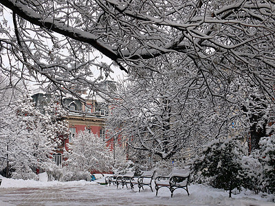 保加利亚索非亚带雪的班子季节花园孤独座位冻结场景天气家具长椅公园图片
