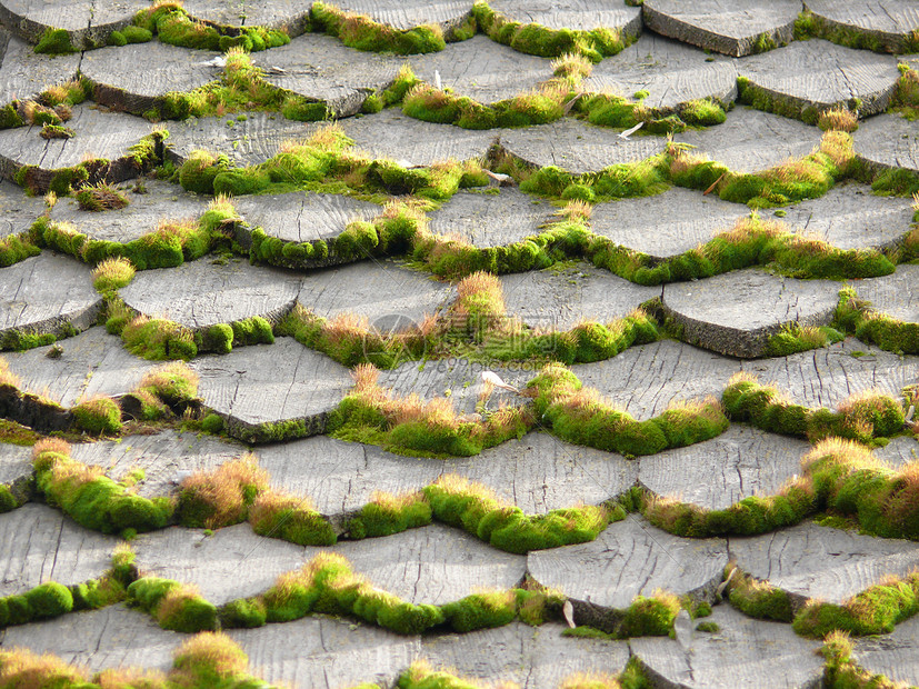 木制屋顶的苔背景木头阁楼房子瓷砖绿色植物苔藓建筑学倾斜植物建筑图片