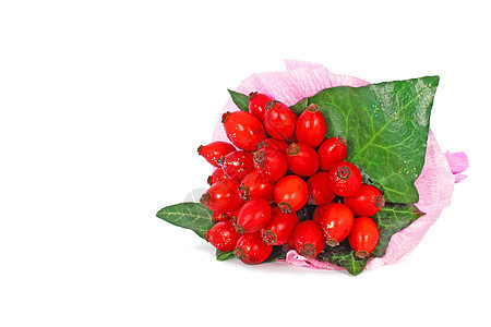 玫瑰臀部白色草本水果植物食物医疗荒野绿色红色叶子图片