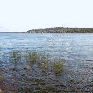 斯德哥尔摩湖湖森林天空白色太阳绿色植物绿色蓝色松树晴天图片